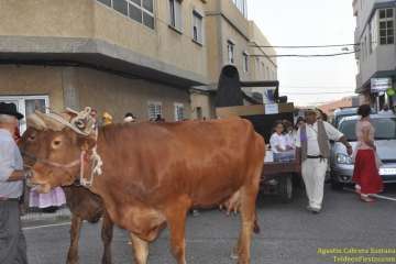 Romerías del Carmen en Marpequeña, Medianía y Las Huesas (Foto TF y TA)